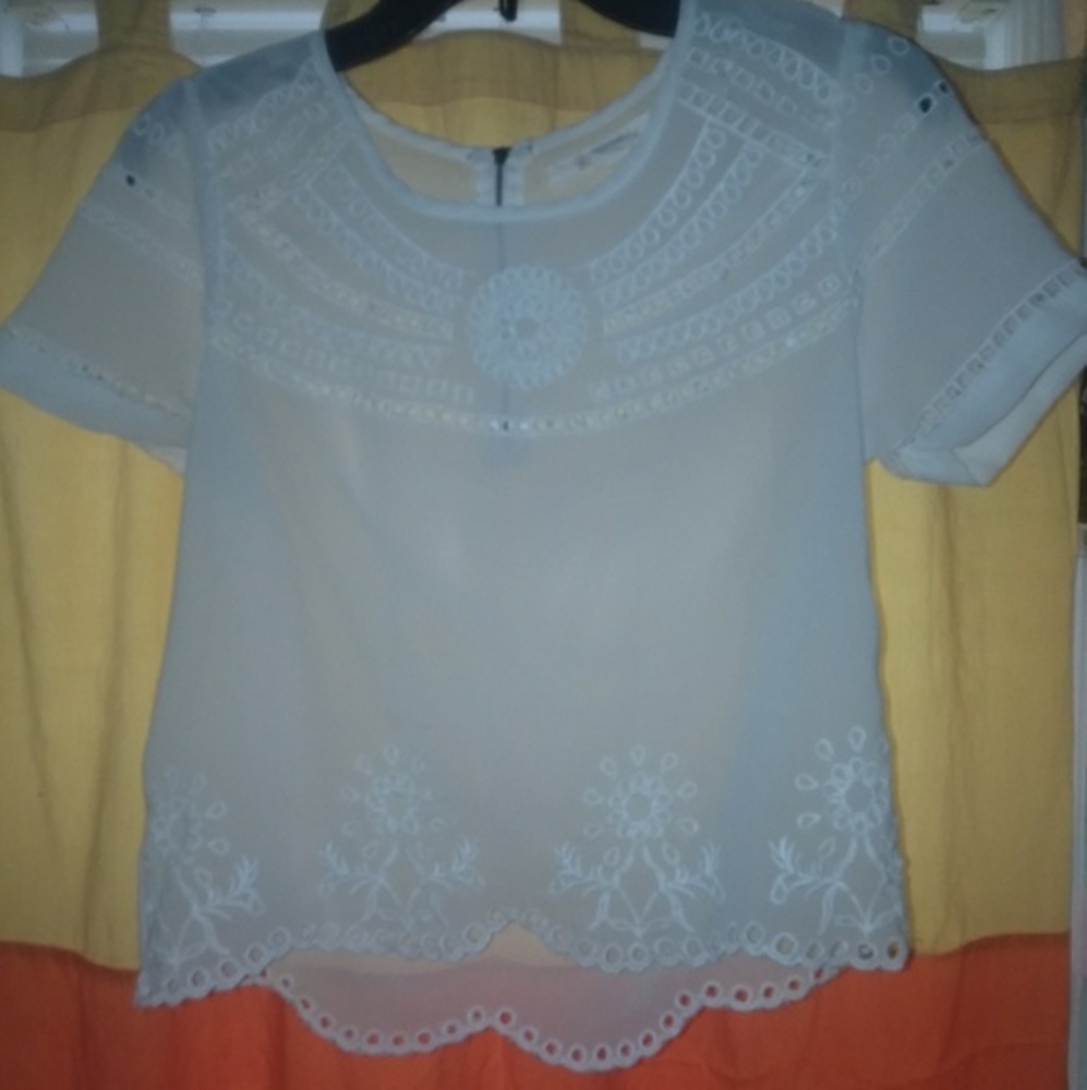 Shrinking Violet XS Dressy see through top